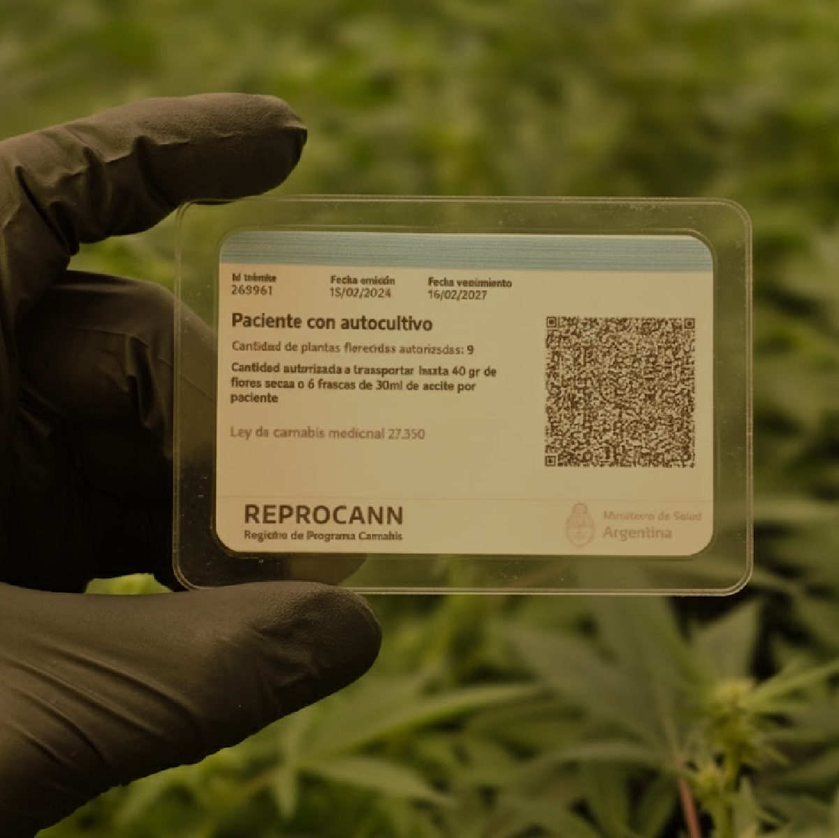Argentina agiliza los trámites del REPROCANN para facilitar el acceso al cannabis medicinal